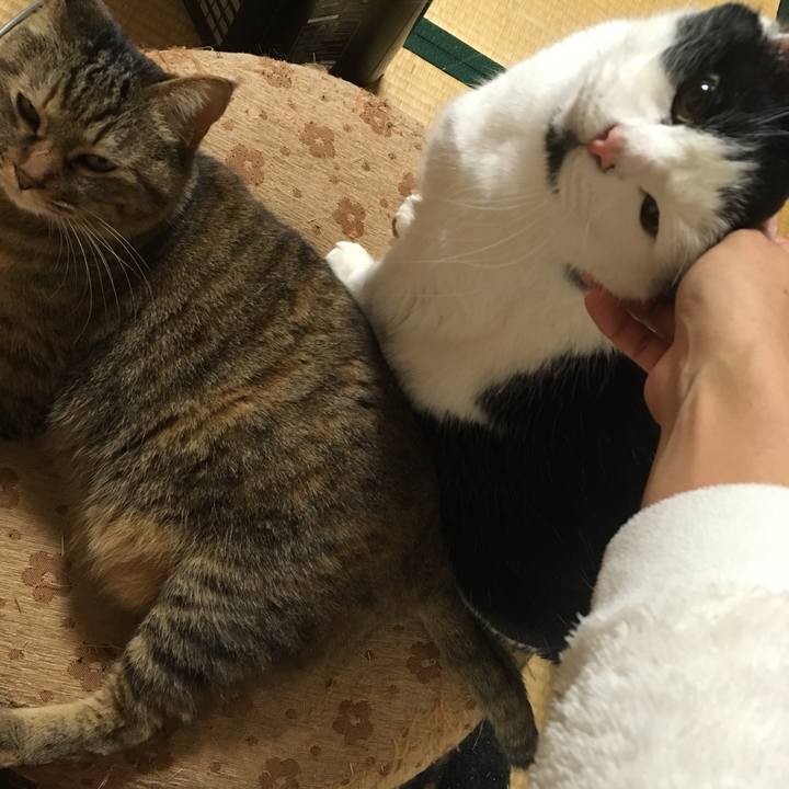 E42f9aca 4fc6 471a a1fb 5a690e9572b3 1548031784203