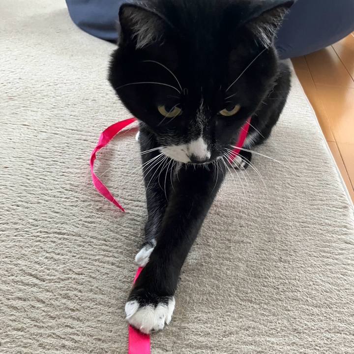 E42fa53f e7d3 496a 8629 f8ae61a64d0e 1717385061973