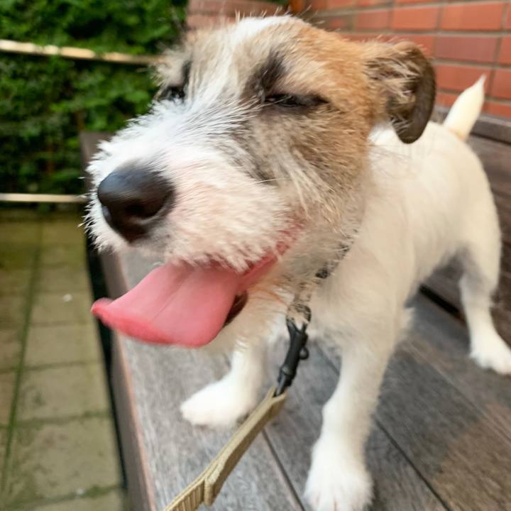 E42fb317 56fb 4c99 8110 1bfd6220e040 1564325747580