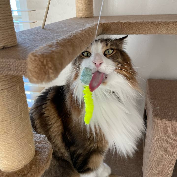 E42fc3e5 e238 44a9 a000 30e11505bb07 1725761129735