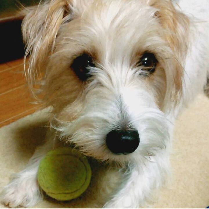 E430147e 2619 43c8 a883 b6b1986b5c21 1664751040359