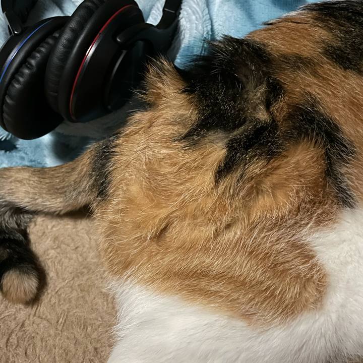 E4304546 20fb 4046 8e40 3d3cf0c58434 1616871730964