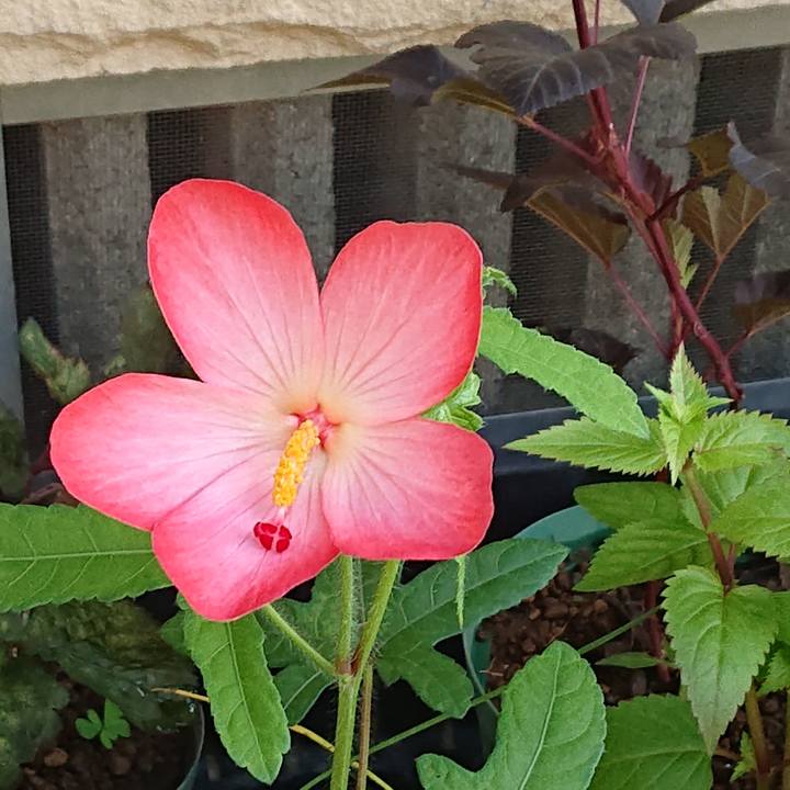 E4308f27 3cce 4a93 b110 f2fca0996ff4 1661472449083