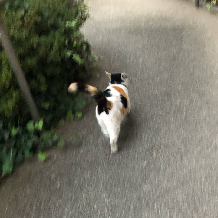 E4309108 4dff 466d b190 497c70e09a4d 1606256753585