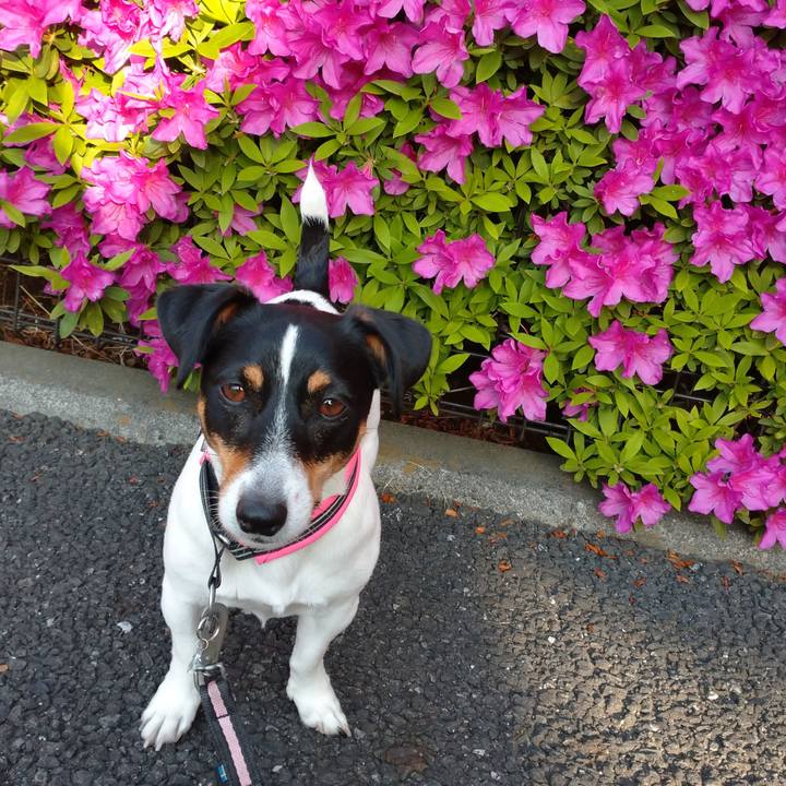 E43091f4 c719 4d43 8ff7 d5fac734be0b 1619175306493