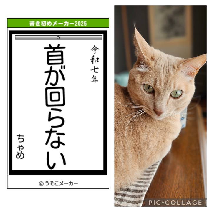 E4309598 13fc 4428 8800 ba42a48ec0fd 1736052945292