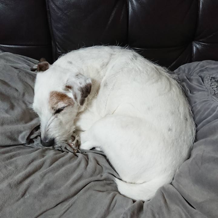 E4309b7f 5b48 437a 8de8 735183ed6c29 1550532942363