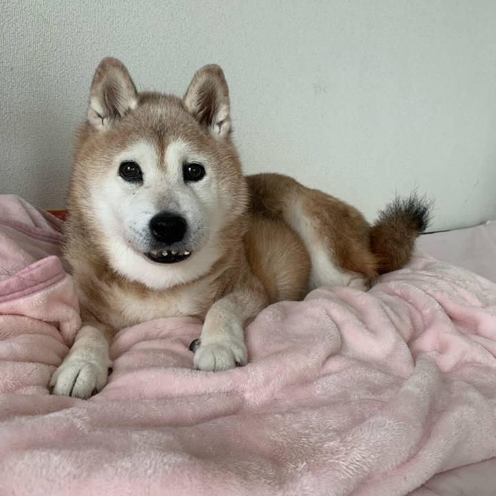 E430b934 b95c 4041 8694 780505e6d5fc 1660278397912