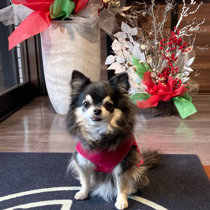 E43121ad 592e 4bb2 8f95 2f95ce7bfb79 1770360494270