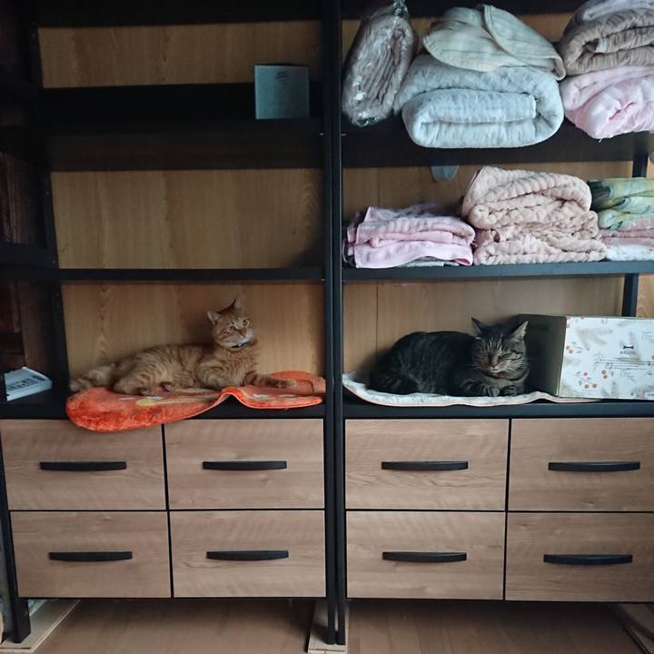 E43154a2 aa74 40ab ae36 fe21ee4ce943 1662605382770