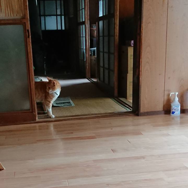 E431abc9 ed12 4861 8cbf eef95935d342 1598068386221