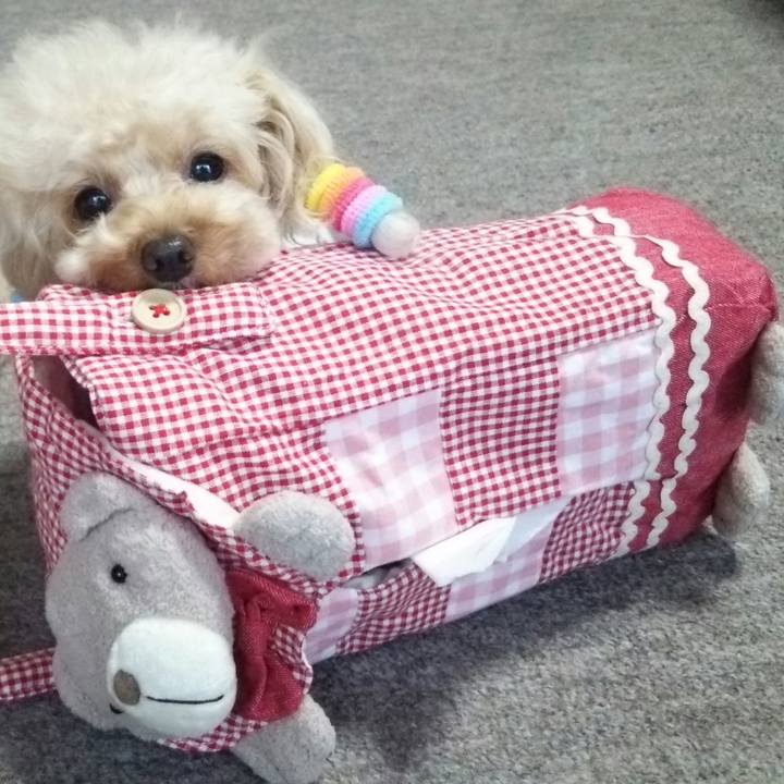 E431e7a2 8c8e 46ec a91e 5fb15ab526ea 1533812857070