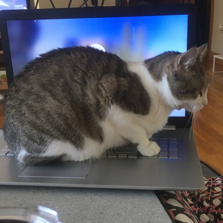 E4320428 8779 4826 ac3b 9889da95bb2c 1633481496774