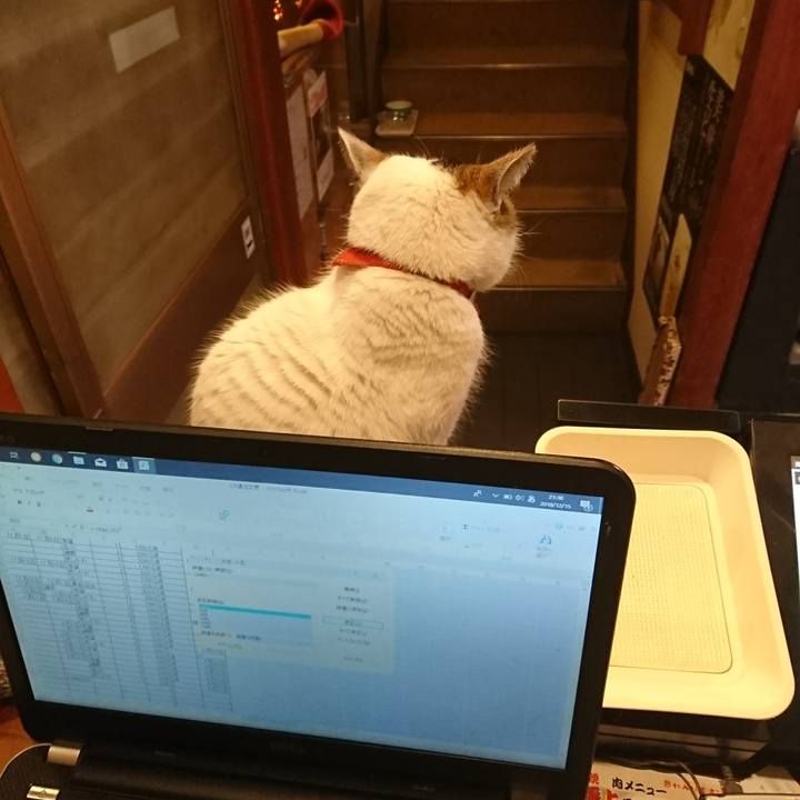 E432ab25 a4e9 428a abbb 0262ee7141e4 1544877791930