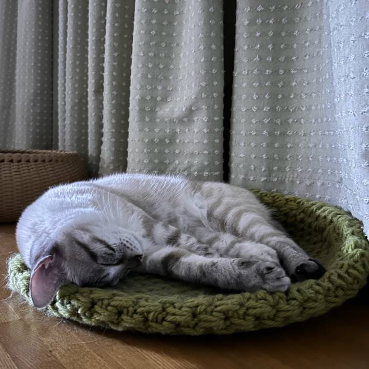 E432cbcf bc03 4e21 99ba e46cfd8d6bc5 1756219299686