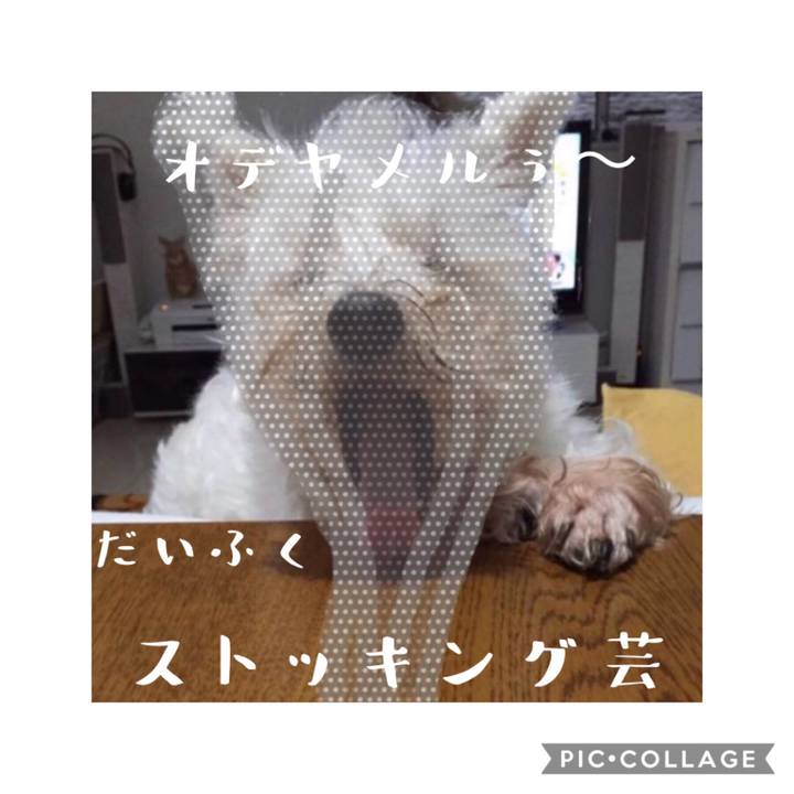 E432d9cd 322b 4363 88cf cf1ffccfac4c 1568177037276