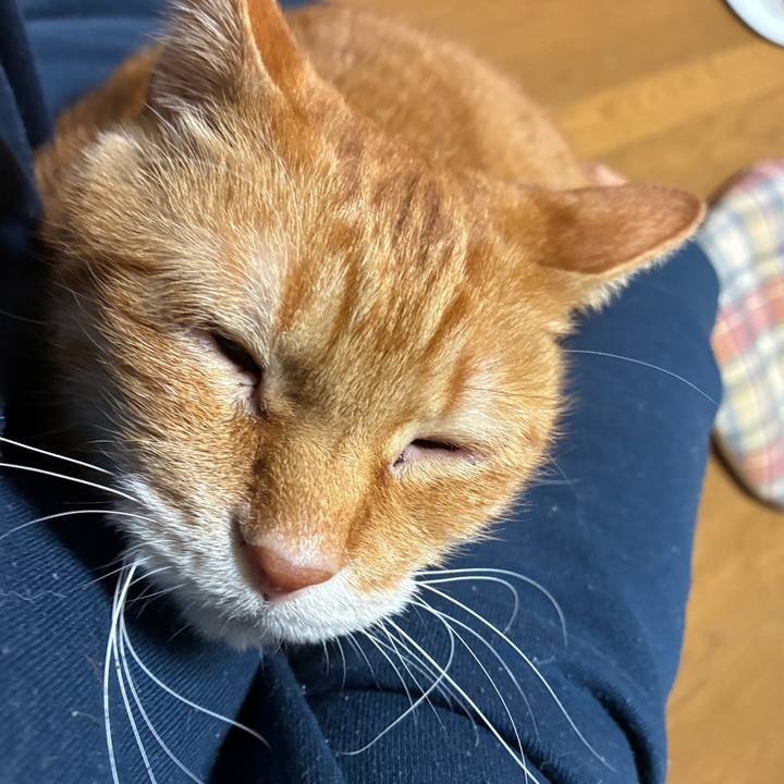 E432efaf 691b 488f 9835 0ff88bd97412 1764234326472