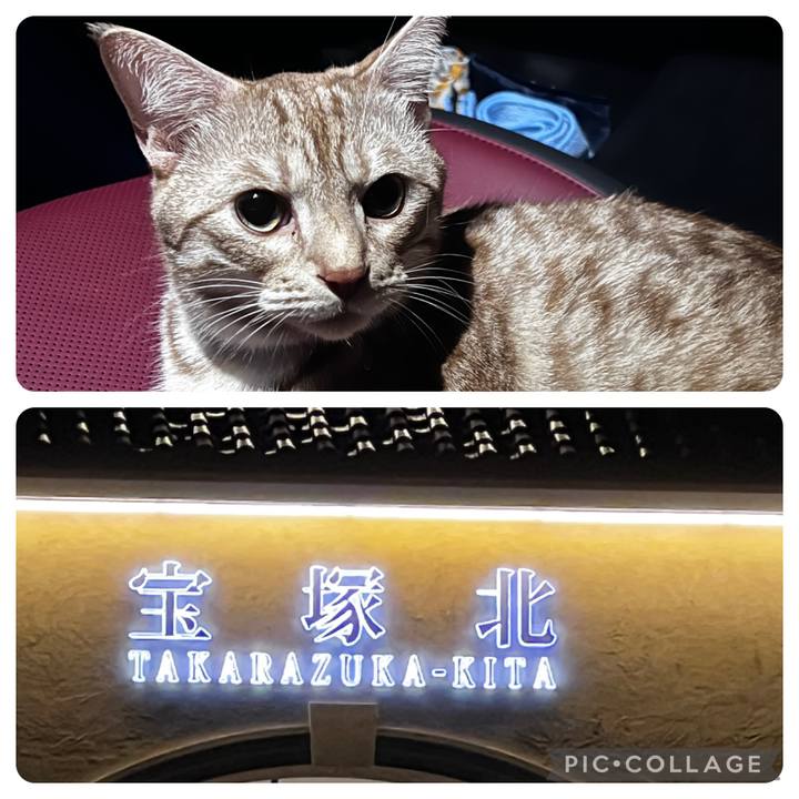 E433079d 1550 42bd 98eb a6673b6fdbbd 1723220443969