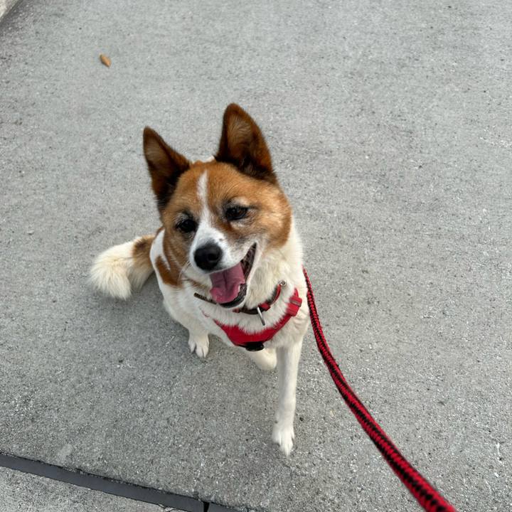 E433224c f3c7 4971 a908 93cf9a780416 1764178815908