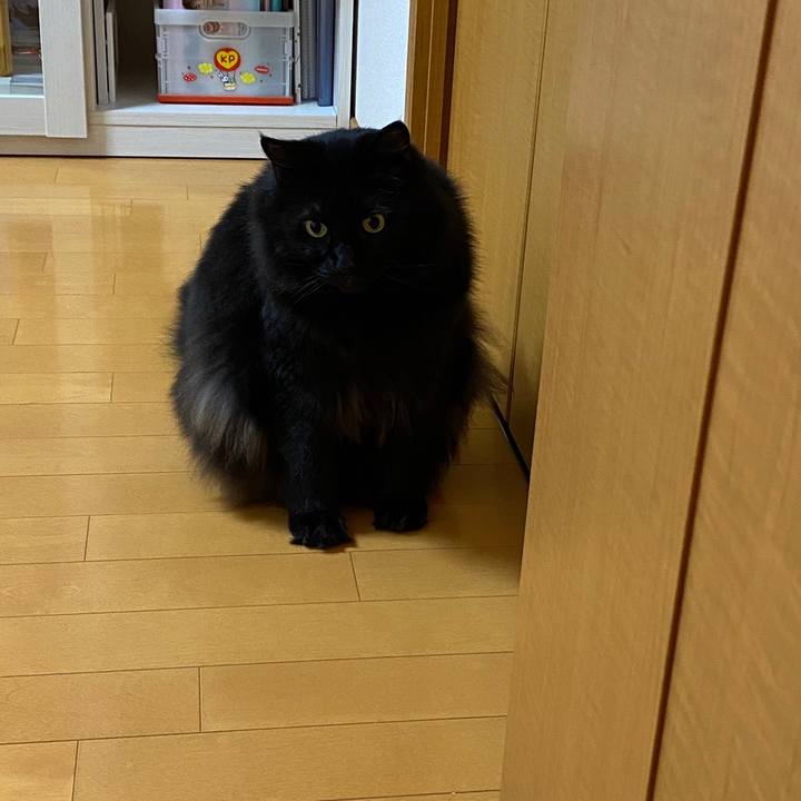 E43344f1 ba77 4b12 b530 40b15ee89d35 1622687877954