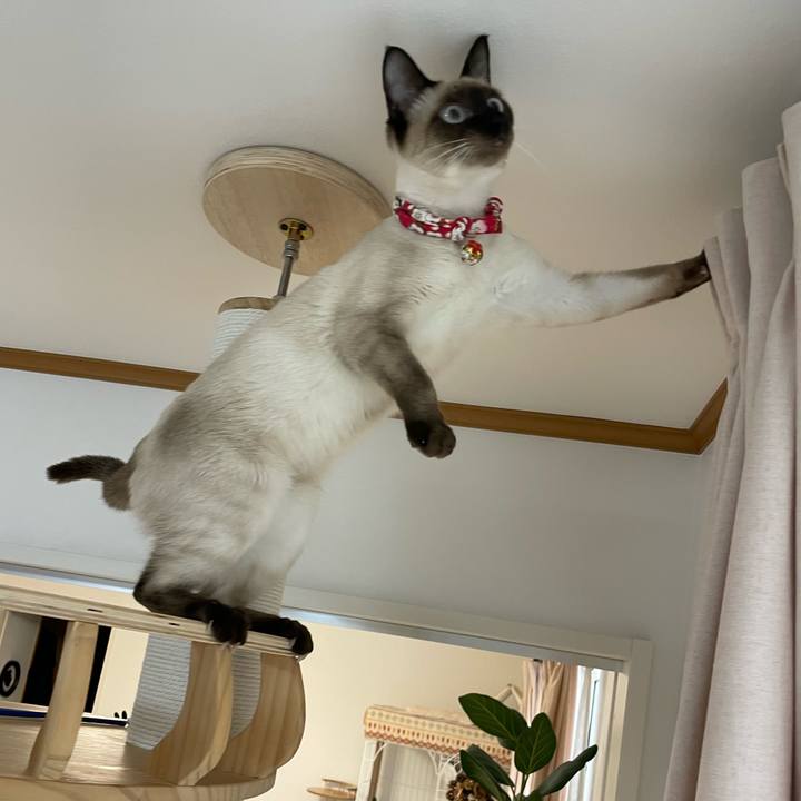 E433593f 15e8 4254 bda6 70d15d886b18 1702681844082