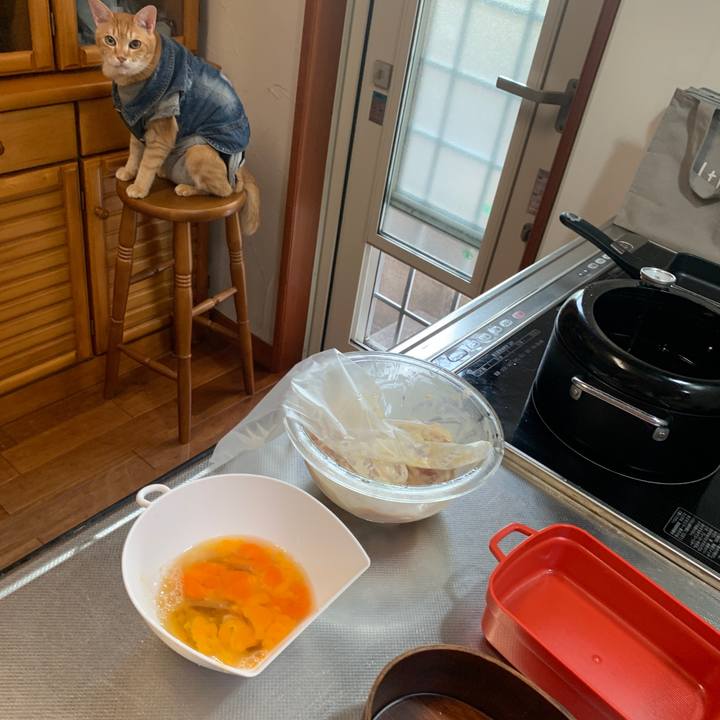 E4336674 3352 4185 9392 b58fb2834a12 1656649660678