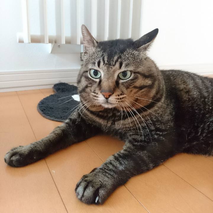 E433b981 9b24 4472 b6f7 ba61ad1a78ca 1563440246929