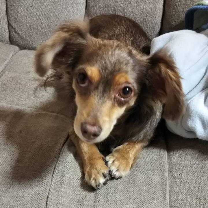 E433dd81 af38 4c14 a1c4 ef5084102a09 1528025360037