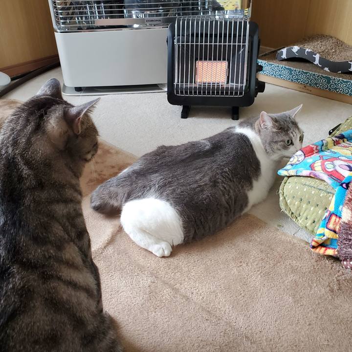 E433df12 fbe1 4b70 af67 5b6def919ef3 1722987503815