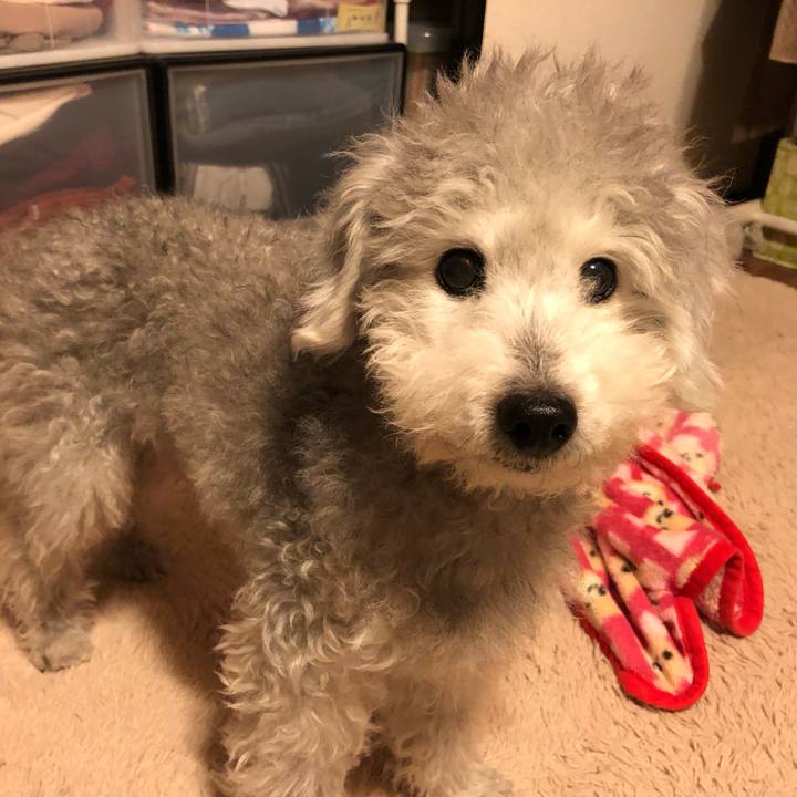 E433e7ae 56a6 42ca ba93 1d1df26e9c7b 1581864934596