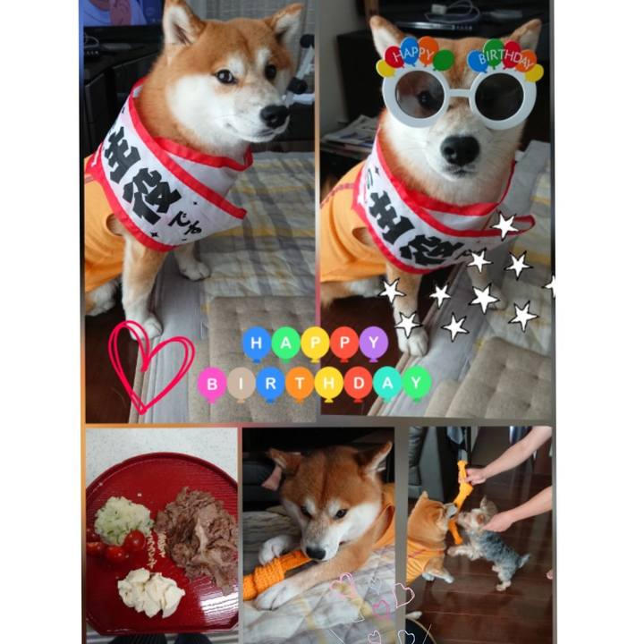 E433fd7e 67dc 4676 8c73 9f1e27f100a1 1528543766821