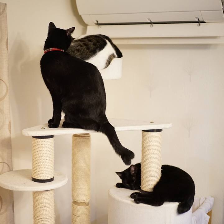 E4342f3c 4292 486b 98d5 2a75d3af8341 1519439334632