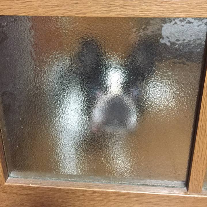 E434dd2f 8b1c 41e3 994e cba14fb30429 1565269403942