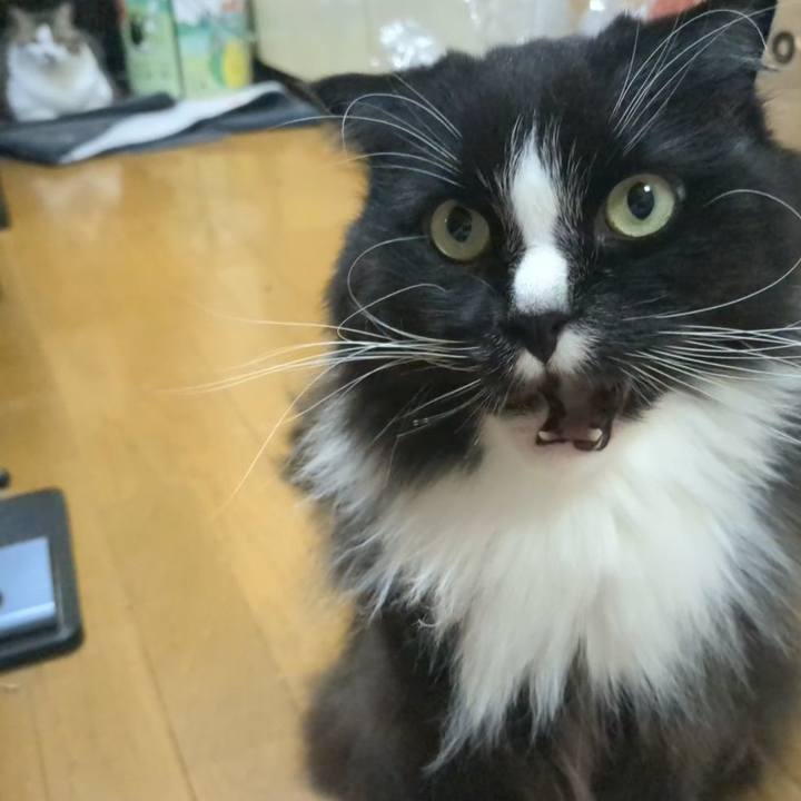 E434e427 3a55 4468 b6e8 5fb96d4a8562 1742295046379