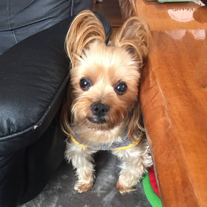 E434eb26 d7f4 4b29 a440 b959777dca98 1734513939825