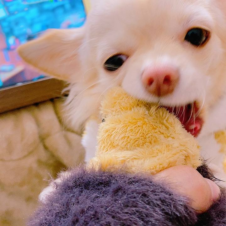 E4352f52 a432 4d6c a99f 0ddd2063e0cf 1609024575831