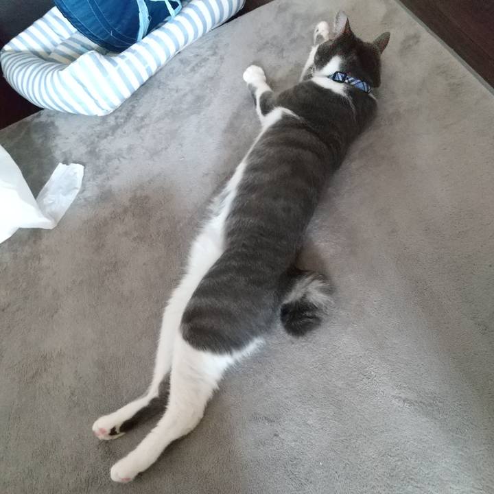 E4355c75 9025 491a b0ae 671c5f5a41f4 1597793334521