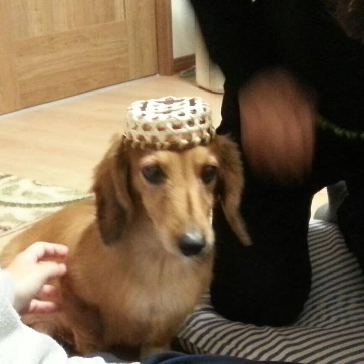 E4357ac2 c475 46b8 8cb9 7fb902768afd 1582704922536