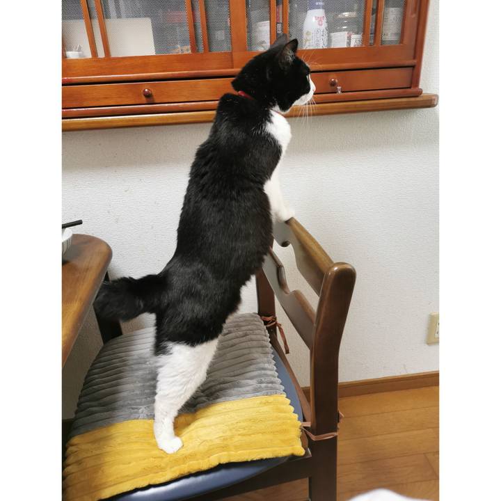 E435897d 312a 49d4 ab25 db54b3b553a7 1681702713763