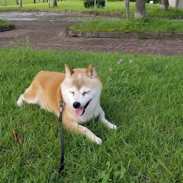 E435b996 af6a 478f 85fe e17d0cd60f40 1721893631904