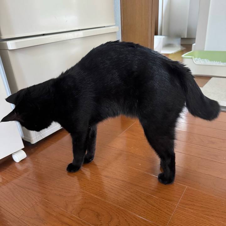 E435c66c 71b1 476b acfa 619b796e8ca0 1757839757578