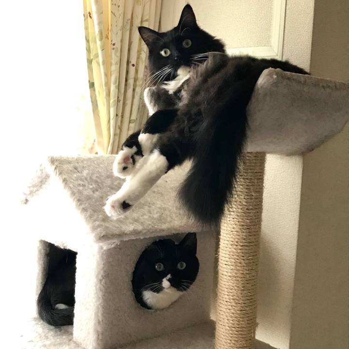 E435cce1 e4a0 432e 8022 24d0c0f4e360 1563170105631