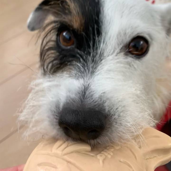 E435f9dd b220 45dc 9481 b262e856f058 1636076561880