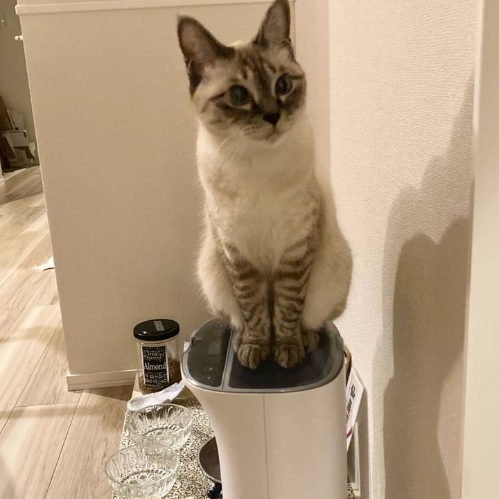 E4364975 7ee0 4907 9df1 c507c315a093 1632629406470