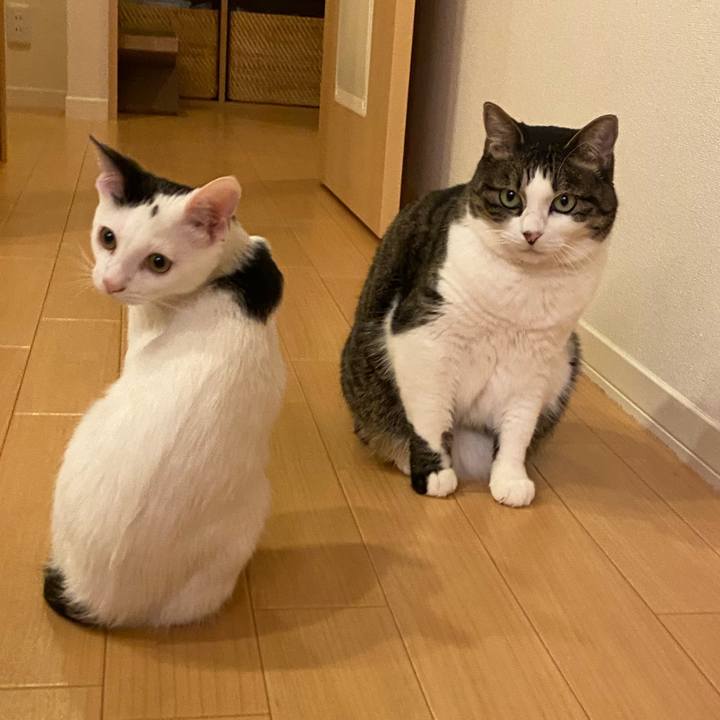 E4365fba a972 4f07 9ed0 7d1dbf0b83c6 1667828293456