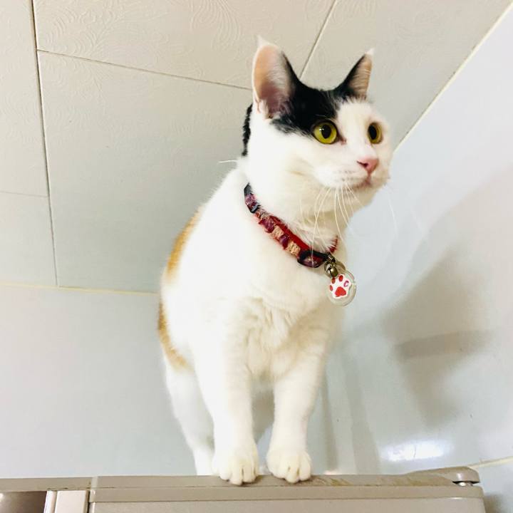 E436761c e61c 4ede b53d caccbc4a4f47 1733405121129