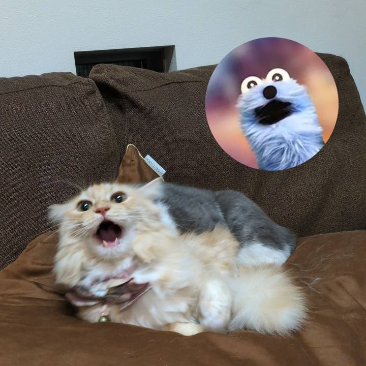 E4367891 9606 4e66 969f 1afd834e0e42 1733562686684