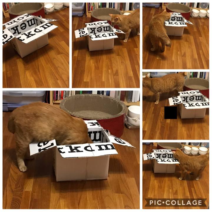 E436944c 4e18 4c8f 884b f43e0ee6bb9e 1593264065588