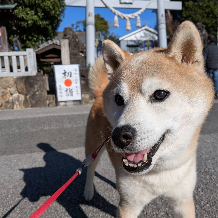 E436a3cb a406 4491 a913 8f2666b80478 1767269514194