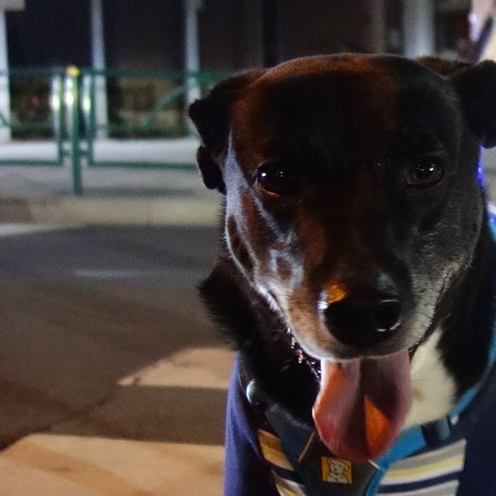 E436aed5 e44e 494a a46e 73511d4962e4 1702550988914